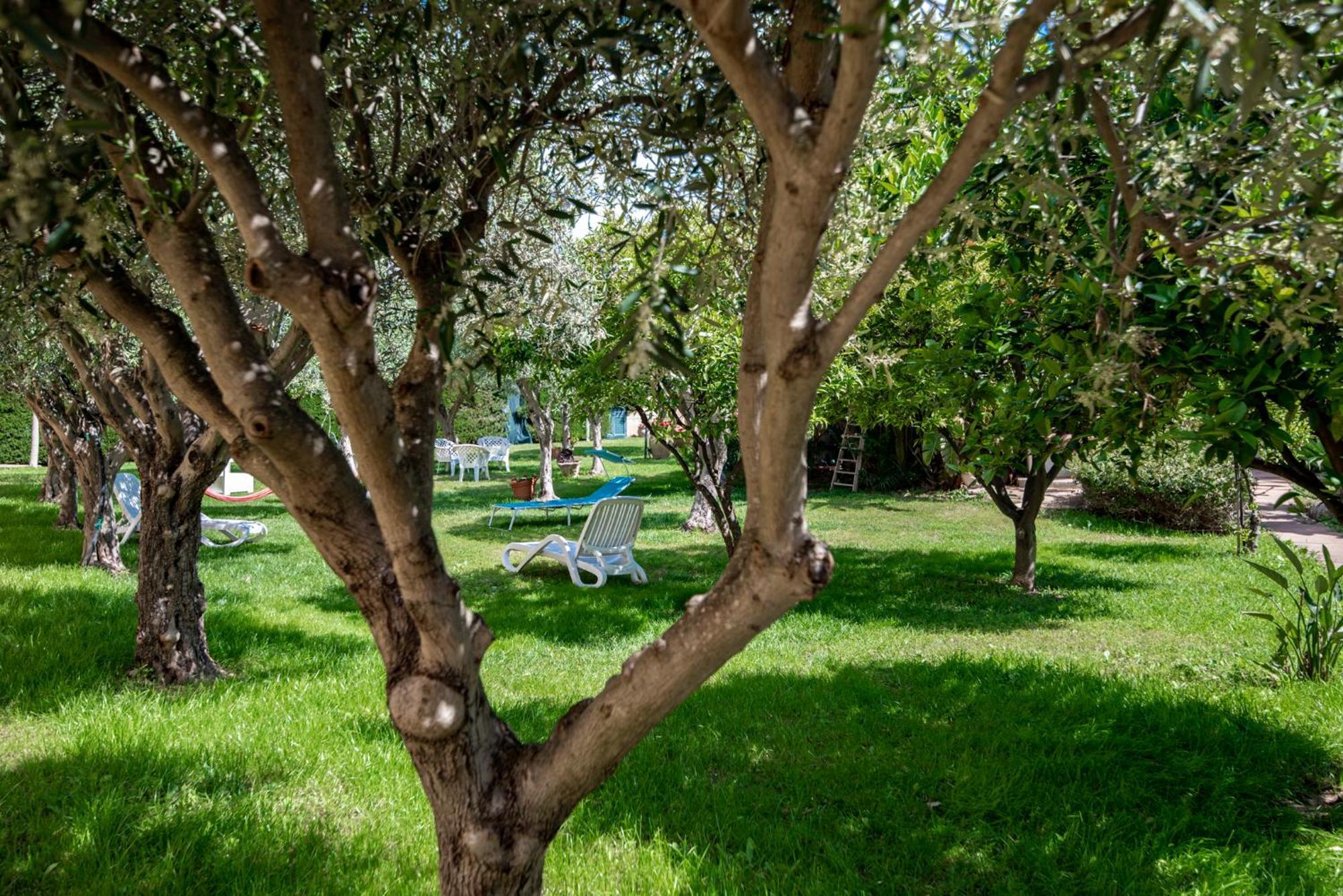 Villa Del Papiro Charme Apartments Avola Esterno foto